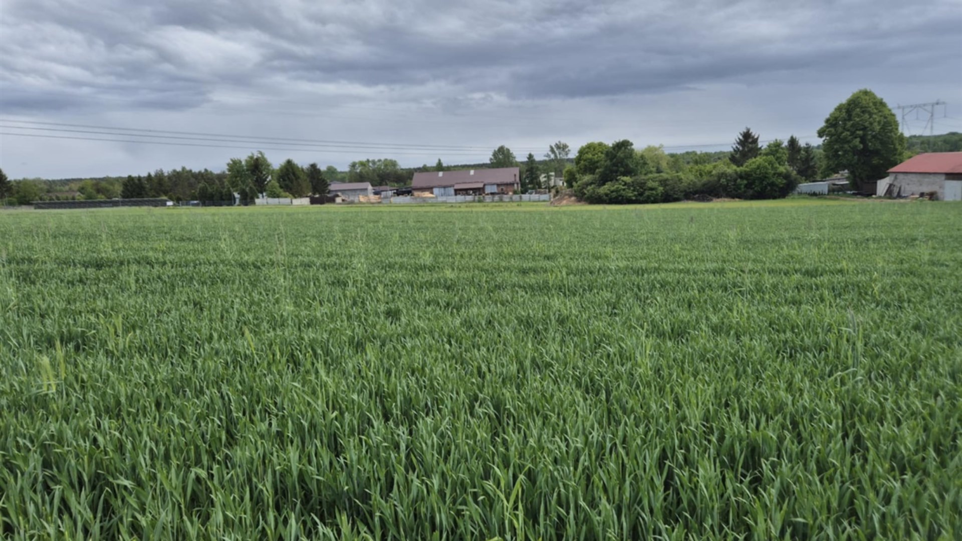 Działka na sprzedaż