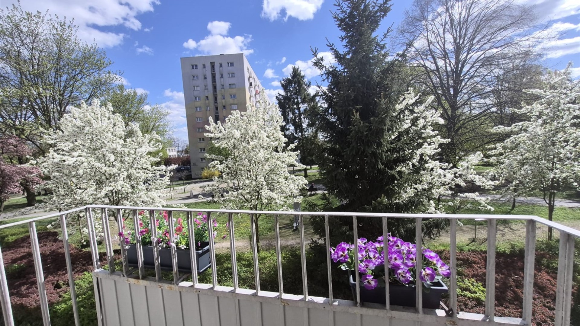 Mieszkanie na sprzedaż